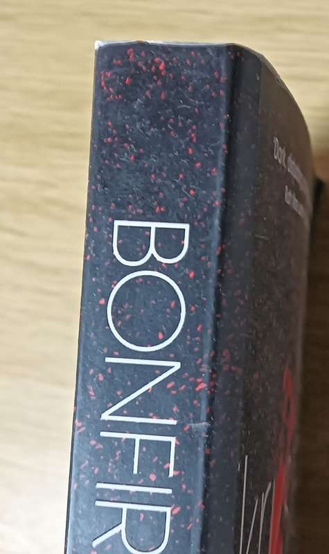 Bonfire - Krysten Ritter - Softcover - 276 Pages