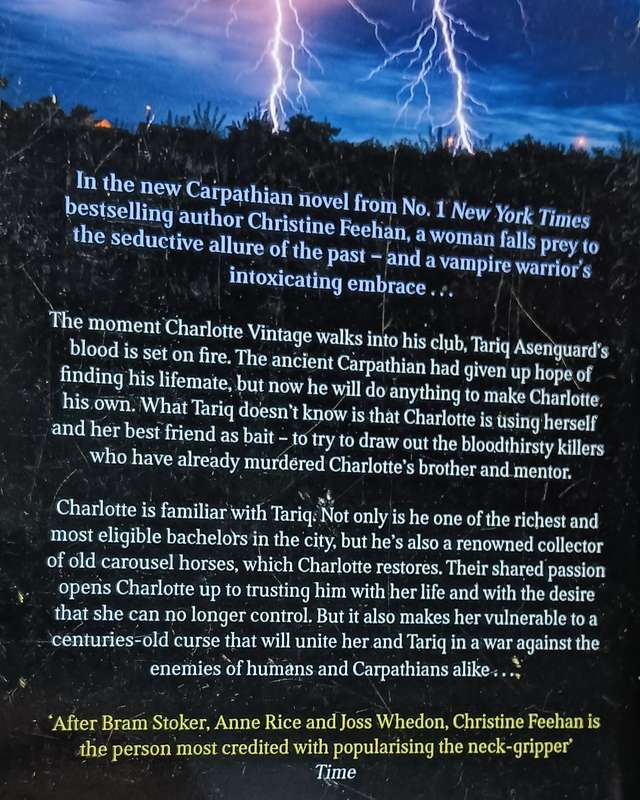 Dark Carousel - Christine Feehan - Softcover - 460 pages