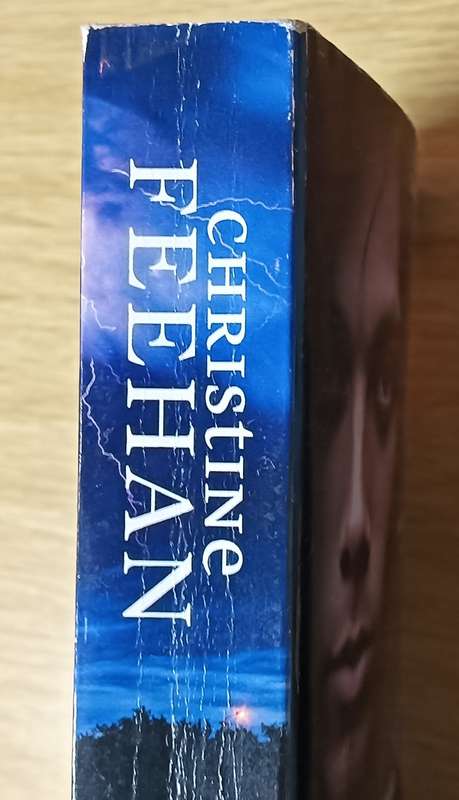 Dark Carousel - Christine Feehan - Softcover - 460 pages