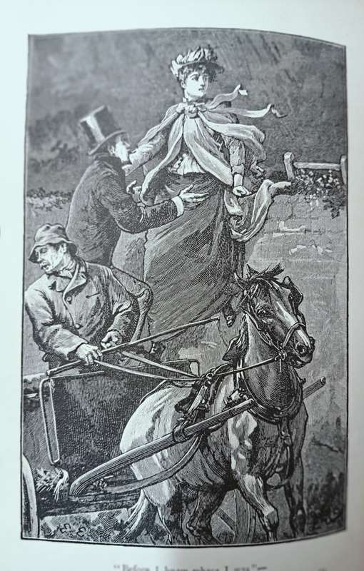 A Fluttered Dovecote - G. Mannville Fenn - Hardcover - 284 Pages