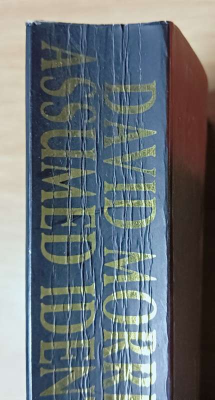 Assumed Identity - David Morrell - Softcover - 595 Pages