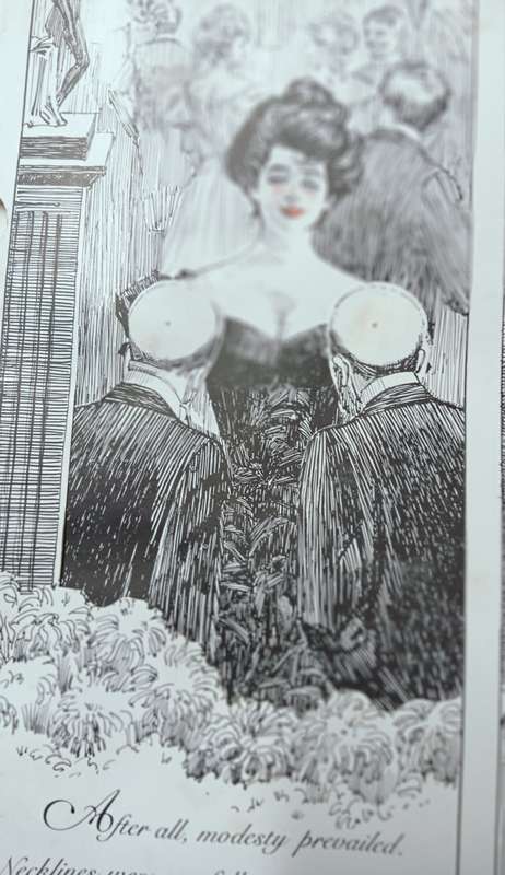 The Naughty Nineties - A Saucy Pop-up Book for Adults - Hardcover