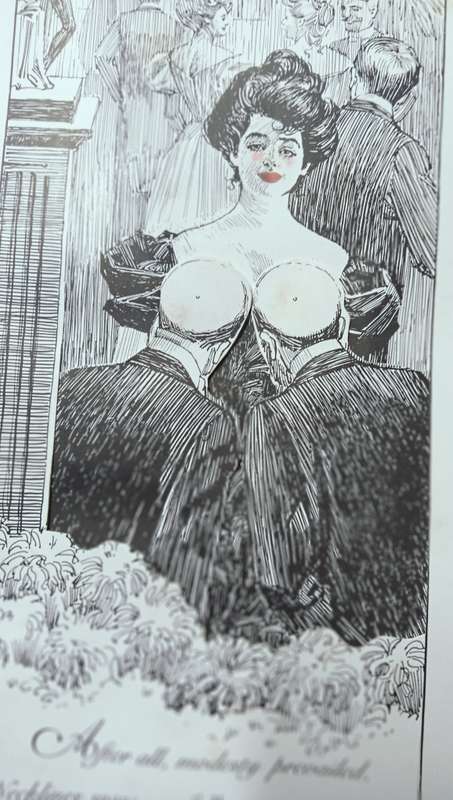 The Naughty Nineties - A Saucy Pop-up Book for Adults - Hardcover
