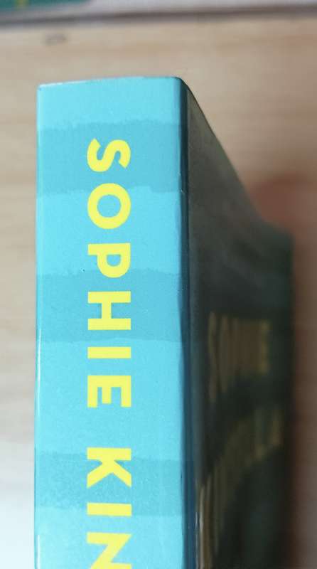 Finding Audrey - Sophie Kinsella - Softcover - 280 Pages