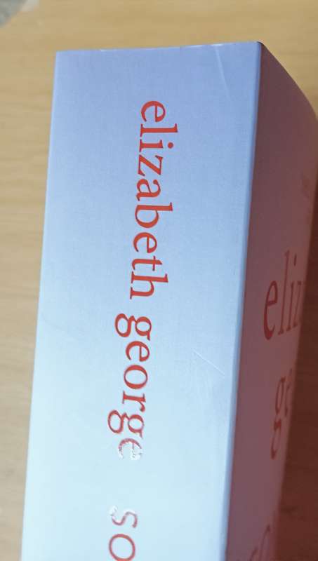 Something To Hide - Elizabeth George - Softcover - 624 Pages