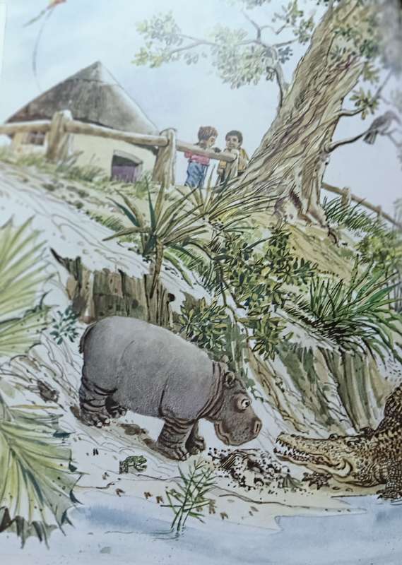 Sorsie Klop die Krokodil Dief - Larraine Kriek - Hardcover - Not Numbered, about 20 pages