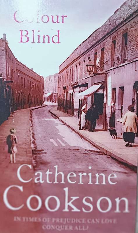 Colour Blind - Catherine Cookson - Softcover - 345 pages