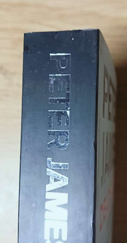 Dead Simple - Peter James - Softcover - 469 pages
