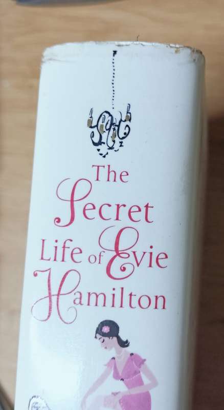 The Secret Life of Evie Hamilton - Catherine Alliott- Hardcover - 520 Pages
