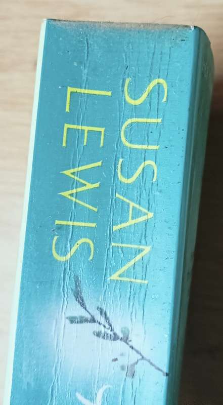 The Hornbeam Tree - Susan Lewis - Softcover - 631 Pages