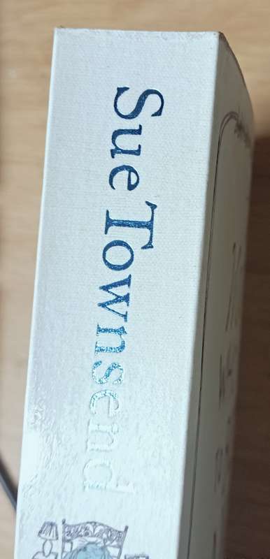 The Woman who Went to Bed for a Year - Sue Townsend - Softcover - 437 Pages