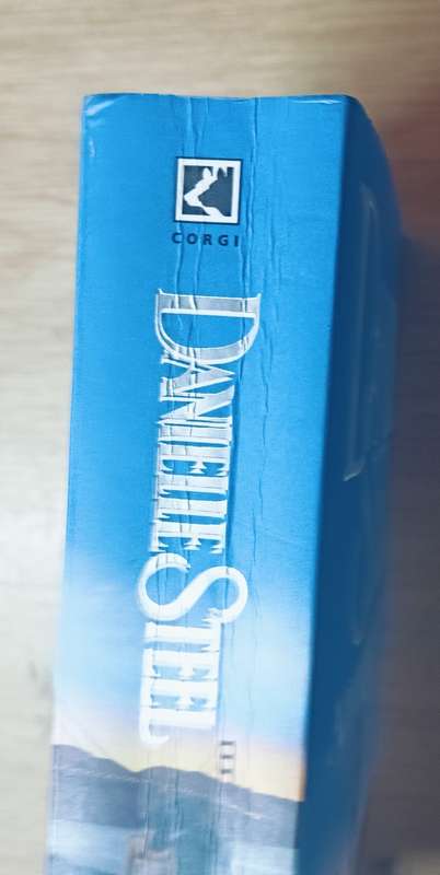 Amazing Grace - Danielle Steel - Softcover - 523 pages