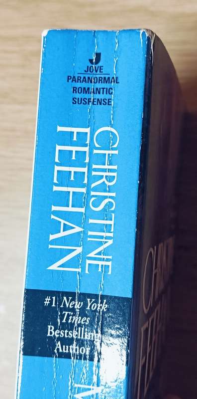 Murder Game - Christine Feehan - Softcover - 445 pages