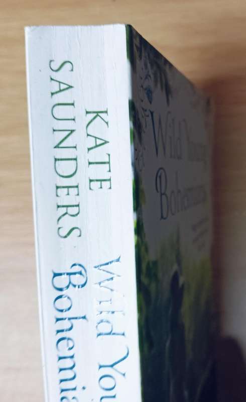Wild Young Bohemians - Kate Saunders - Softcover - 413 pages