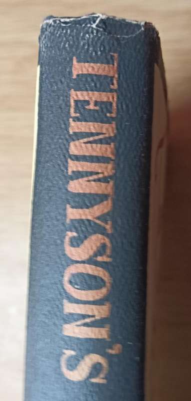 Tenneson's Gift - Lynne Trust - Hardcover - 241 pages