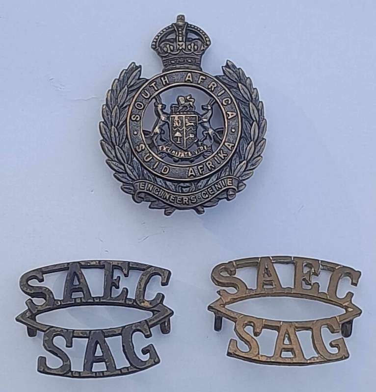 S.A.E.C. INSIGNIA