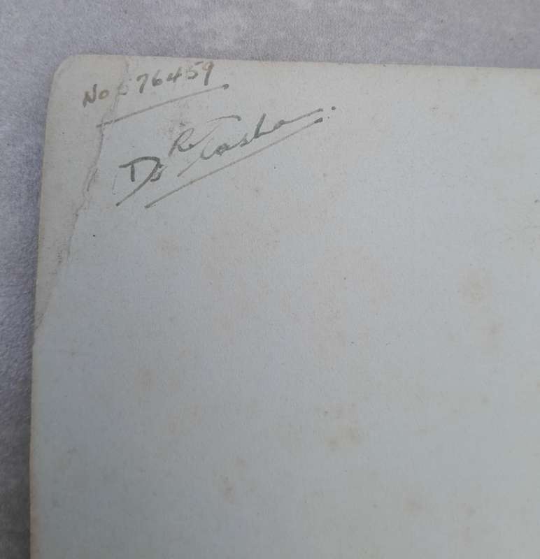 SNAKES: AND THE TREATMENT OF SNAKE BITE ** 1932 Edition **