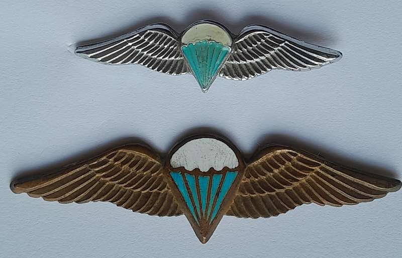 PARABAT MESS DRESS WINGS