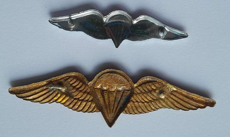 PARABAT MESS DRESS WINGS
