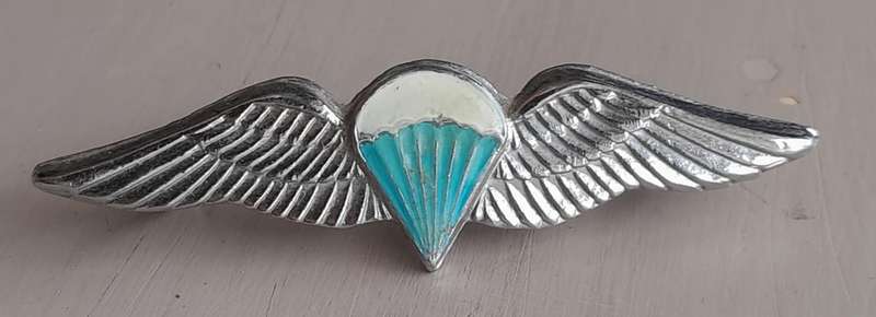 PARABAT MESS DRESS WINGS