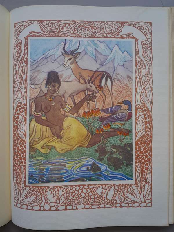 BADOLI THE OX