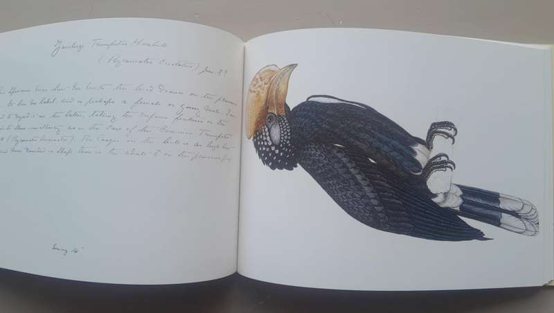 A CELEBRATION OF BIRDS **C.G. Finch-Davies**