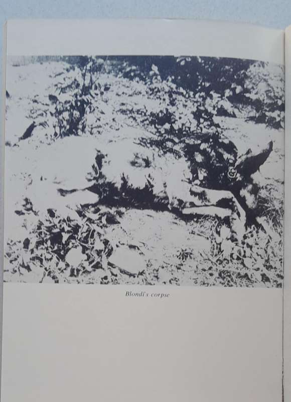 THE DEATH OF ADOLF HITLER