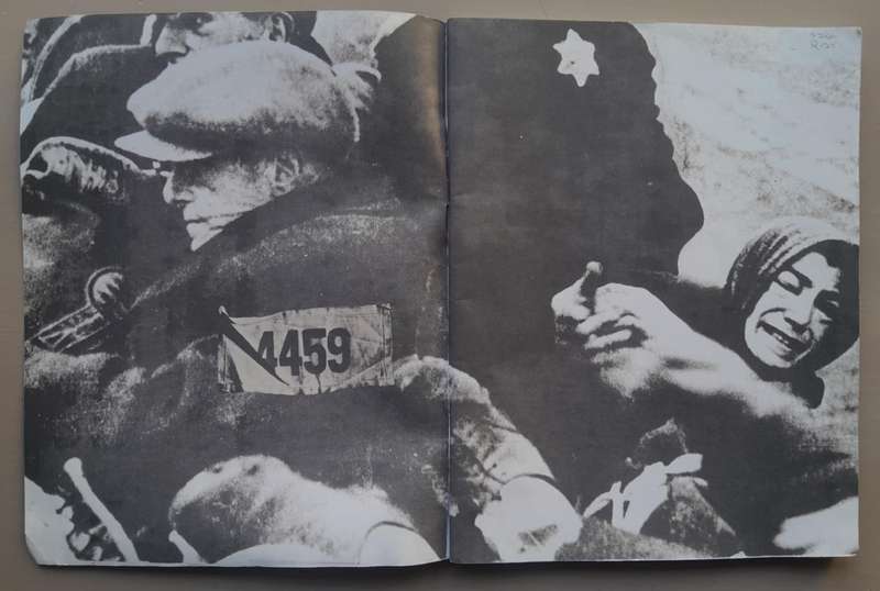 THE HOLOCAUST
