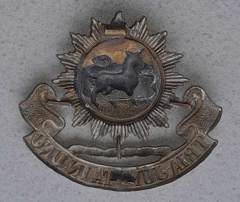 GREY HIGH SCHOOL CADET CORPS CAP BADGE