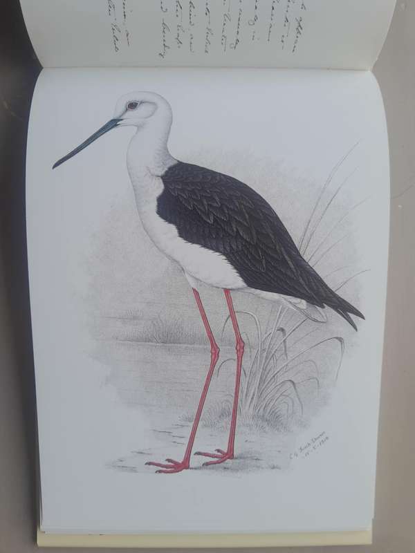 A CELEBRATION OF BIRDS **C.G. Finch-Davies**