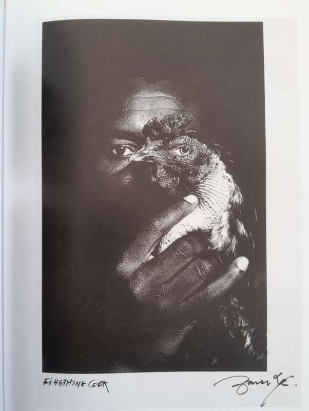 ANTHOLOGY OF AFRICAN AND INDIAN OCEAN PHOTOGRAPHY