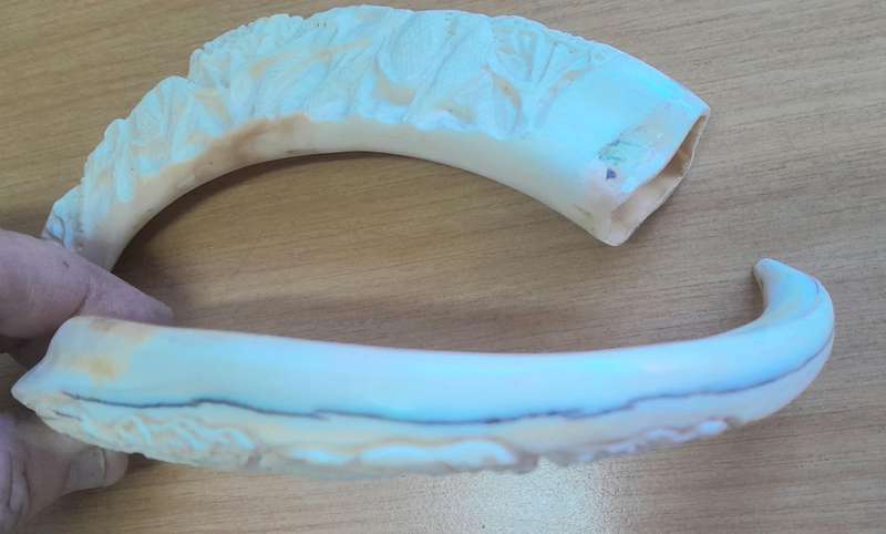CARVED WARTHOG TUSKS