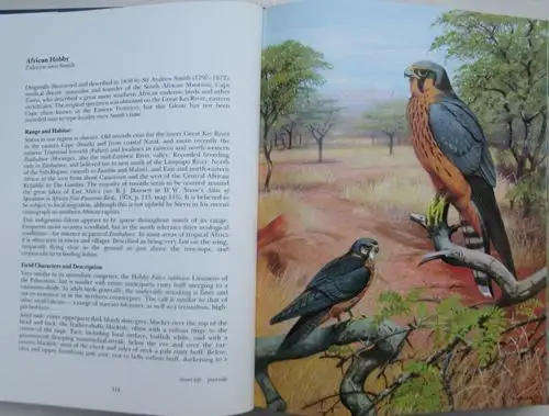 THE RARE BIRDS OF SOUTHERN AFRICA - Phillip A. Clancey **Cased Edition**