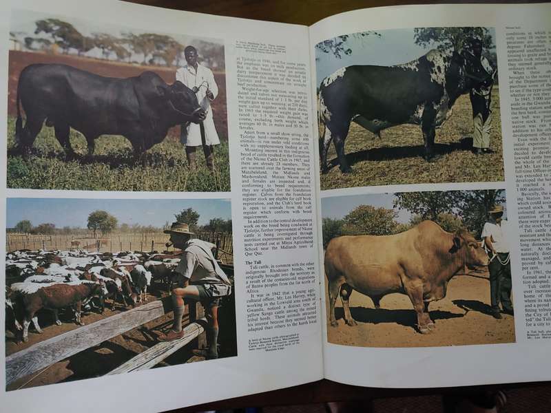 Rhodesian Scene 1971