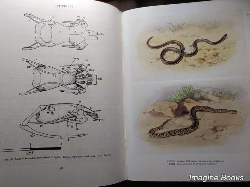 Snakes Of Southern Africa - FitzSimons 1962 edition