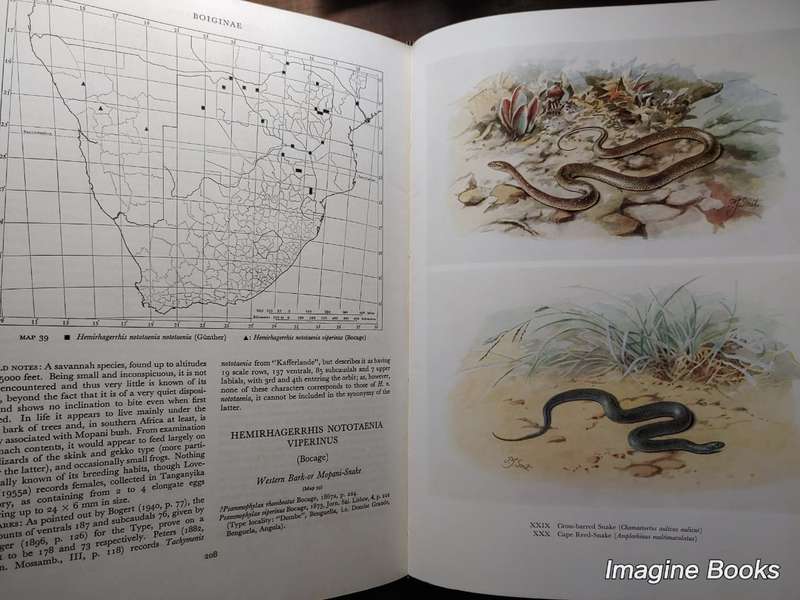 Snakes Of Southern Africa - FitzSimons 1962 edition