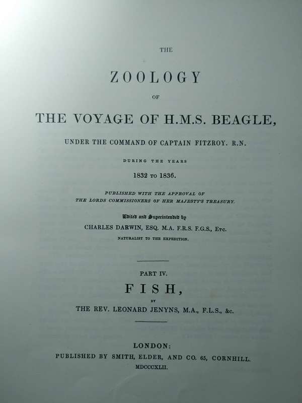 Darwin - The Zoology of the Voyage of HMS Beagle - Part IV Fish