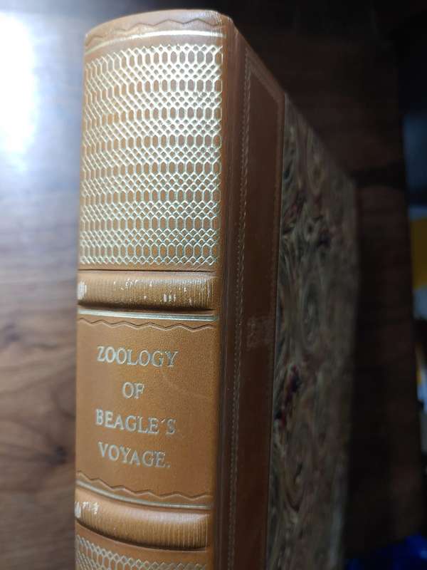 Darwin - The Zoology of the Voyage of HMS Beagle - Part IV Fish