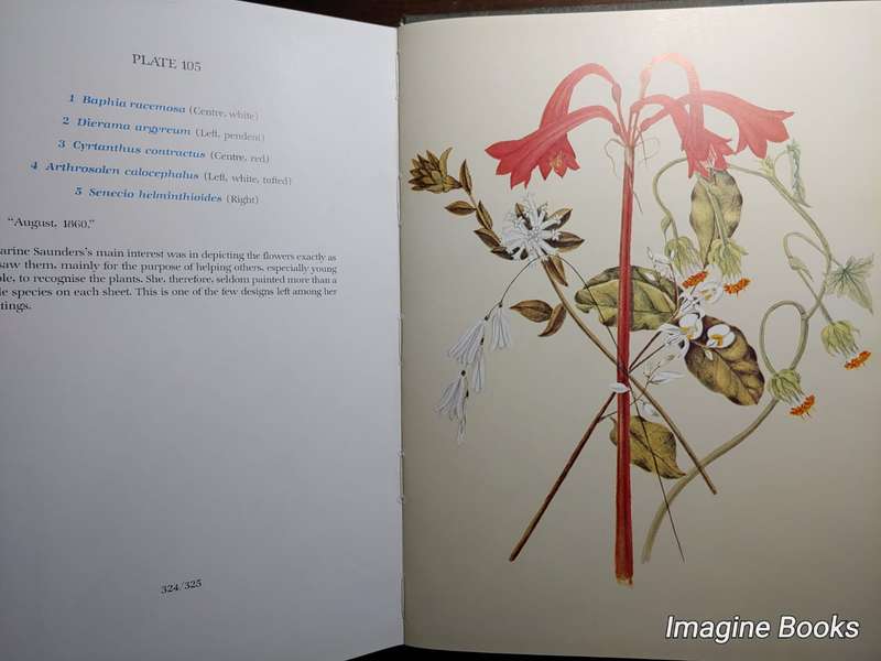 Flower Paintings of Katharine Saunders