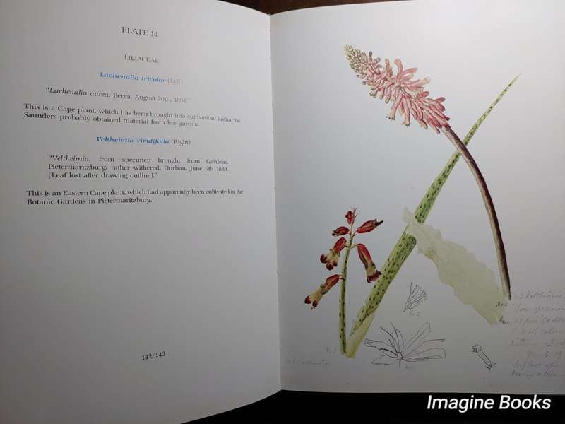 Flower Paintings of Katharine Saunders