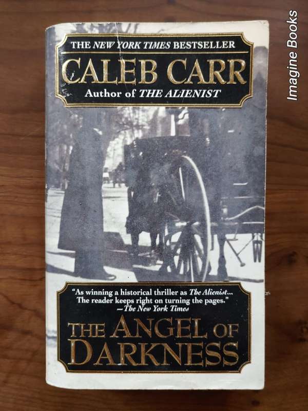 The Angel Of Darkness - Caleb Carr