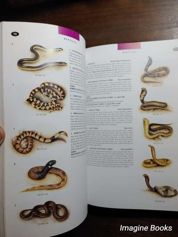 The Wildlife of Southern Africa