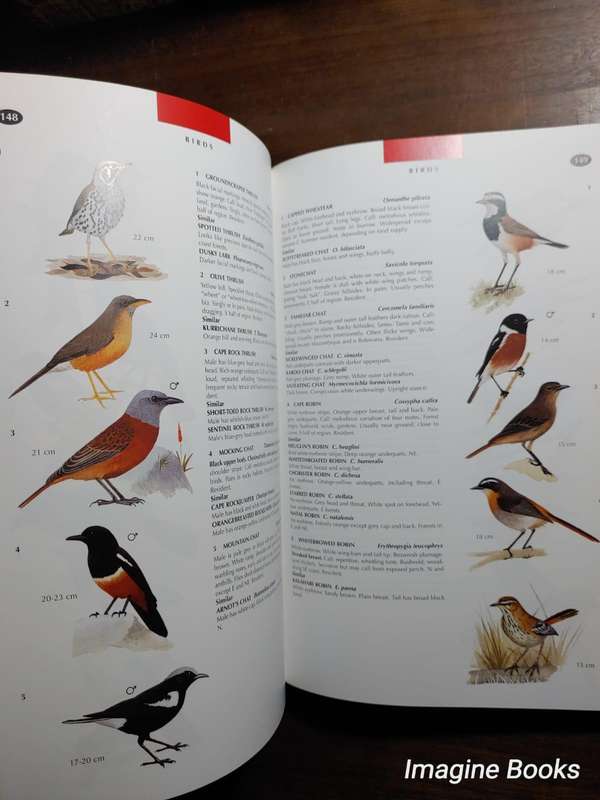 The Wildlife of Southern Africa