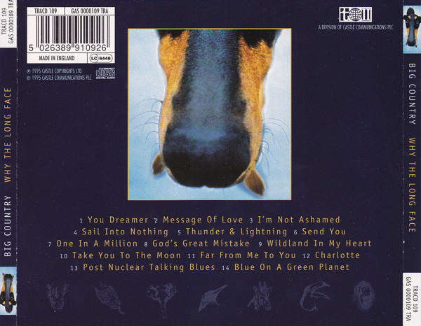 Big Country - Why the Long Face CD Import