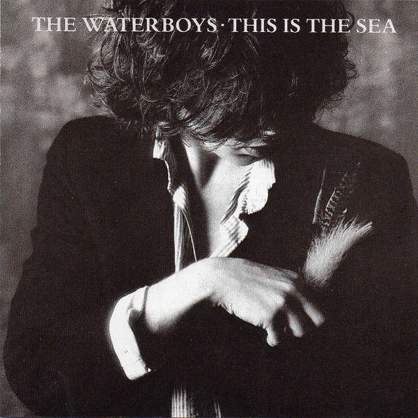 Waterboys - This Is the Sea CD Import