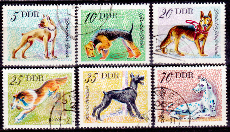 GERMANY DDR 1976, 17 Aug. DOGS, set, UH, CV +/-R 70.00 view scans