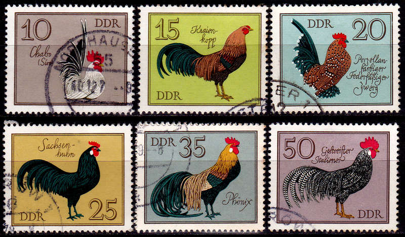 GERMANY DDR 1979, 23 Jan. BIRDS GERMAN COCKS, set, UH, CV +/-R 60.00 view scans