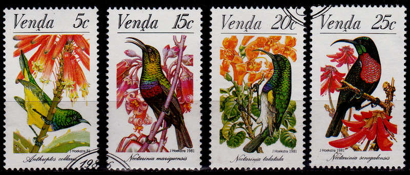 VENDA 1981, 16 Feb. SUNBIRDS, set, CTO, CV R ?? view scans
