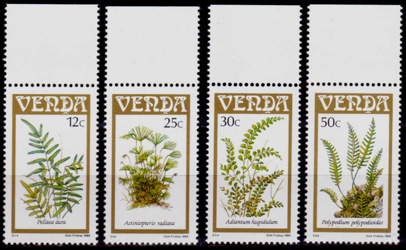 VENDA 1985, 5 Sept. Ferns, set, MNH, CV R 10.00 view scans