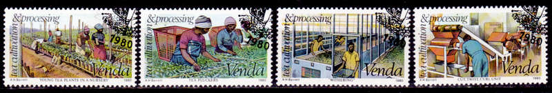 VENDA 1980, 14 May. TEA CULTIVATION, set, CTO, CV R ?? view scans